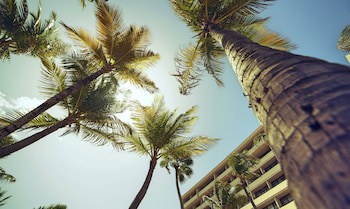 Barcelo Aruba