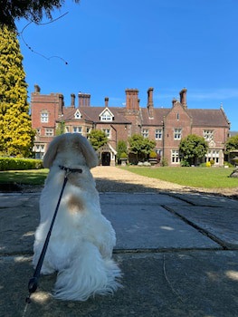 Alexander House And Utopia Spa