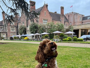 Alexander House And Utopia Spa