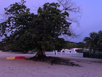 Allamanda Beach Hotel