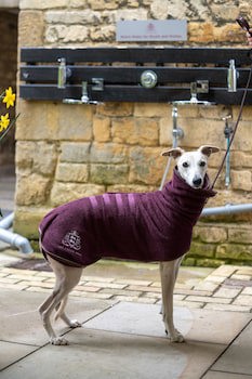 The Lygon Arms - An Iconic Luxury Hotel