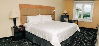 Holiday Inn San Salvador, An Ihg Hotel