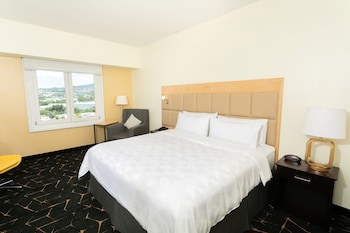 Holiday Inn San Salvador, An Ihg Hotel