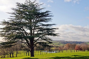 Hilton Puckrup Hall Hotel & Golf Club, Tewkesbury