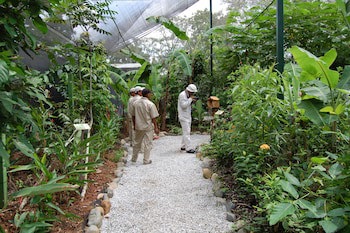 Gamboa Rainforest Reserve