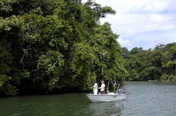 Gamboa Rainforest Reserve