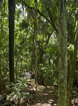 Gamboa Rainforest Reserve