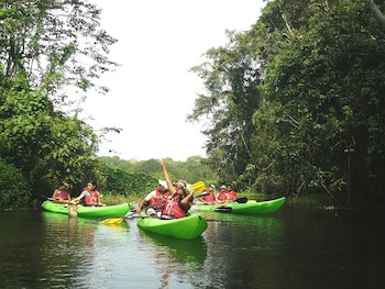 Gamboa Rainforest Reserve
