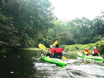 Gamboa Rainforest Reserve