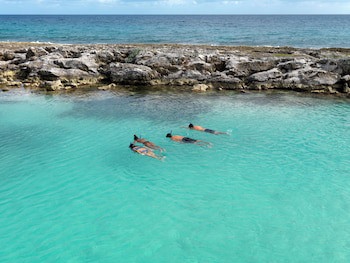 Hard Rock Hotel Riviera Maya (Only Adults And Family)