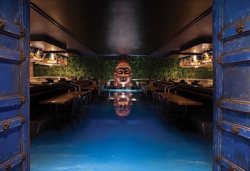 Hard Rock Hotel Riviera Maya (Only Adults And Family)