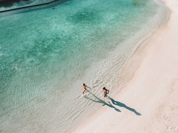 Hard Rock Hotel Riviera Maya (Only Adults And Family)