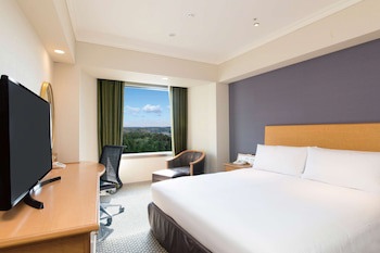 Hilton Tokyo Narita Airport