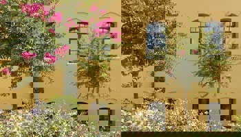 Four Seasons Hotel Istanbul At Sultanahmet - Special Class