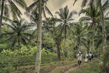 Four Seasons Resort Bali At Sayan