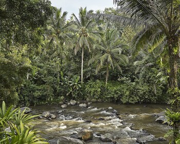 Four Seasons Resort Bali At Sayan
