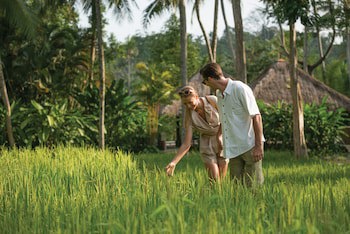 Four Seasons Resort Bali At Sayan