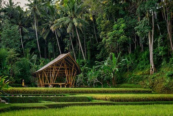 Four Seasons Resort Bali At Sayan