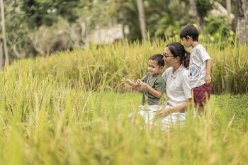 Four Seasons Resort Bali At Sayan