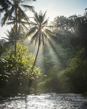 Four Seasons Resort Bali At Sayan