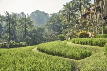 Four Seasons Resort Bali At Sayan