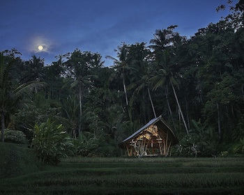 Four Seasons Resort Bali At Sayan