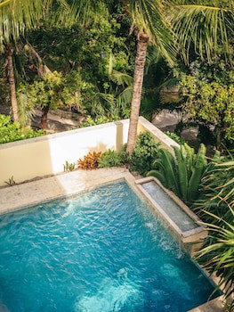 Pink Sands Resort
