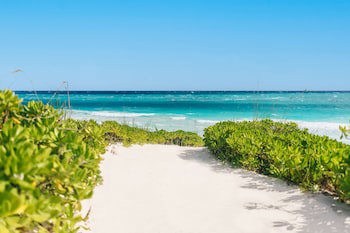 Pink Sands Resort