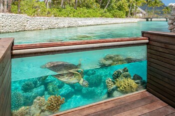 The Westin Bora Bora Resort & Spa