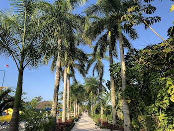 Allegro Cozumel All Inclusive
