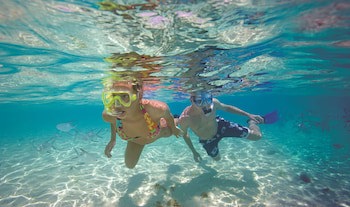 Allegro Cozumel All Inclusive