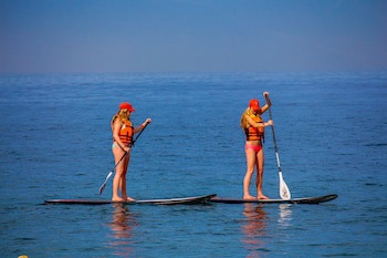 Friendly Fun Vallarta Different Experiences