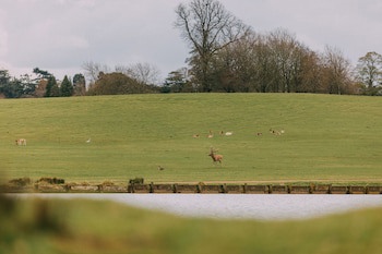 The Woburn Hotel