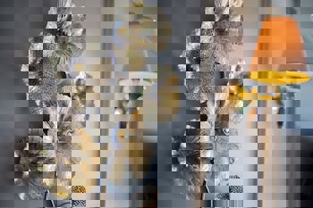 Orient Express & Spa By Orka Hotels