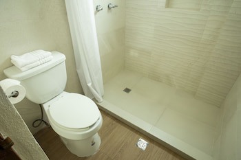 Best Western Centro Monterrey