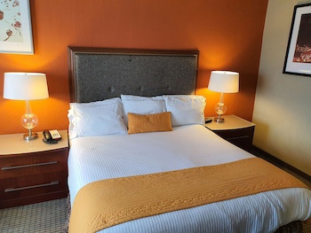Hotel San Francisco Leon