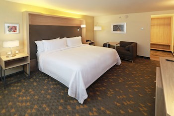 Holiday Inn Ciudad Juarez, An Ihg Hotel