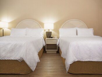 Holiday Inn Express Torreon, An Ihg Hotel