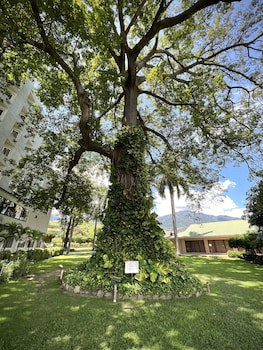 Copantl Hotel & Convention Center