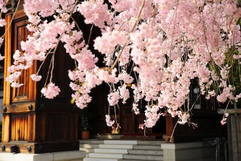 Nara Hotel