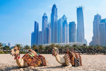 Al Habtoor Grand Resort, Autograph Collection