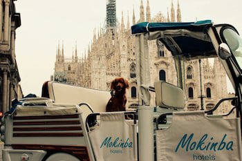 Mokinba Hotels Baviera galeri fotoğrafı