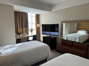 Sheraton Rome Parco de’ Medici galeri fotoğrafı