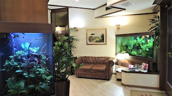 Hotel Accursio fotoğrafı