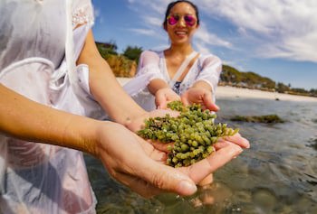 Four Seasons Resort Punta Mita