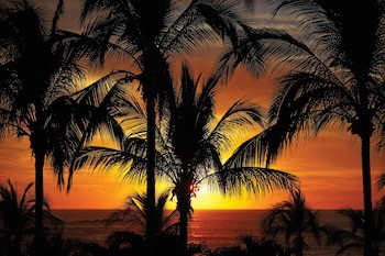 Four Seasons Resort Punta Mita