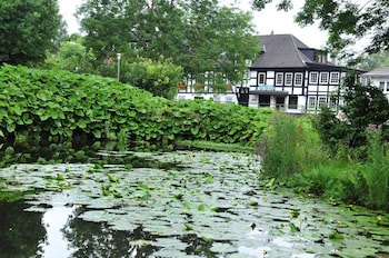 AKZENT Hotel Zur Wasserburg , bed & breakfast galeri fotoğrafı