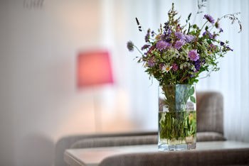 Hotel Bannwaldsee galeri fotoğrafı