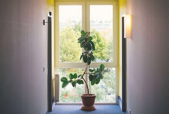 Vienna House Easy by Wyndham Amberg galeri fotoğrafı