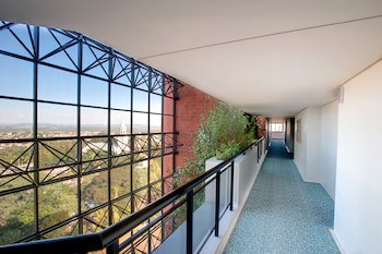 Swan Novo Hamburgo